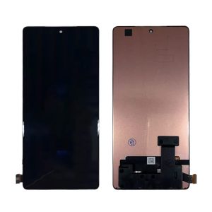 NOTE 40 ORI NEGRO IF